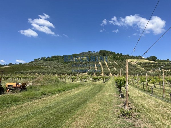 capannone in vendita a Brisighella