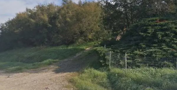 casa indipendente in vendita a Brisighella