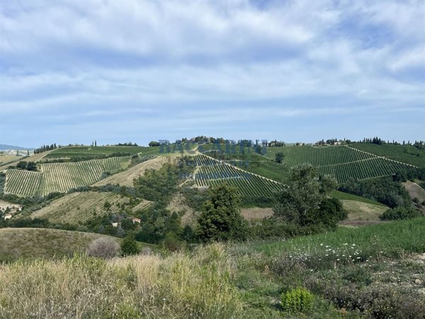 capannone in vendita a Brisighella in zona Marzeno
