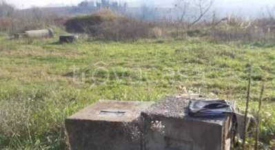 terreno agricolo in vendita a Brisighella in zona Fognano