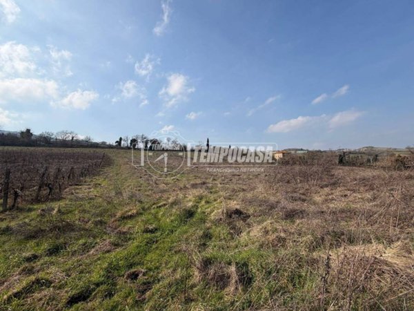 terreno agricolo in vendita a Brisighella