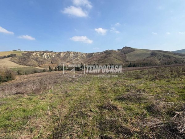 terreno agricolo in vendita a Brisighella