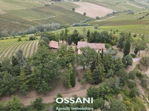 terreno agricolo in vendita a Brisighella