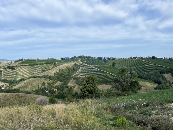 terreno agricolo in vendita a Brisighella in zona Marzeno