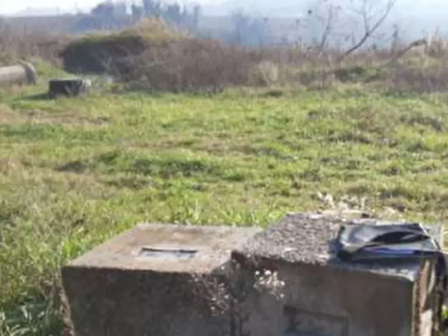 terreno agricolo in vendita a Brisighella