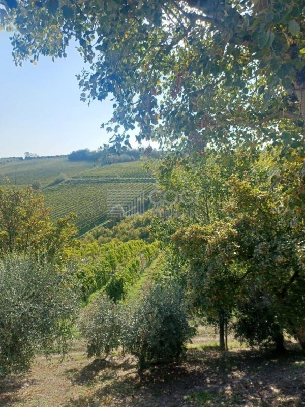 appartamento in vendita a Brisighella