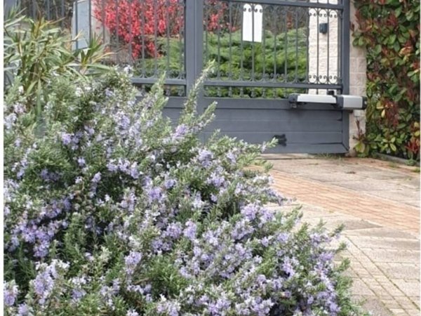 appartamento in vendita a Brisighella