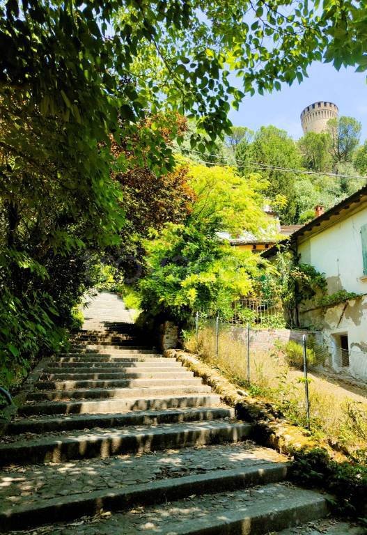 locale commerciale in vendita a Brisighella