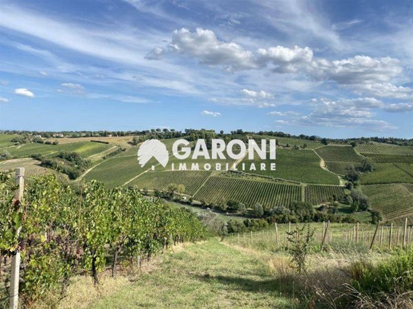 terreno agricolo in vendita a Brisighella