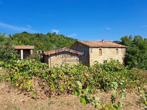 casa indipendente in vendita a Casola Valsenio in zona Zattaglia
