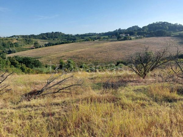 terreno agricolo in vendita a Castel Bolognese