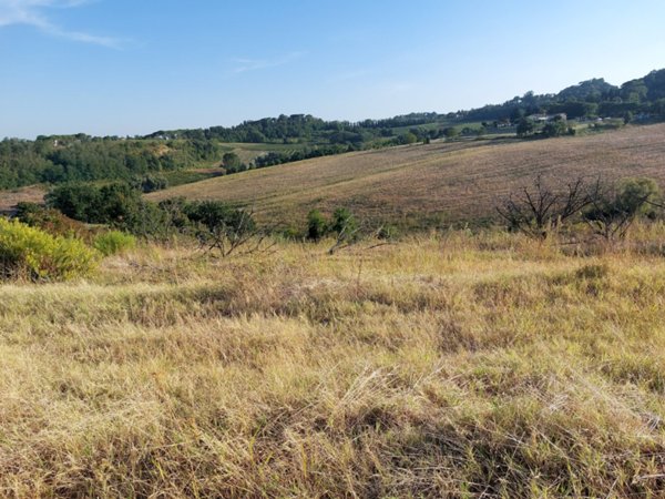 terreno agricolo in vendita a Castel Bolognese