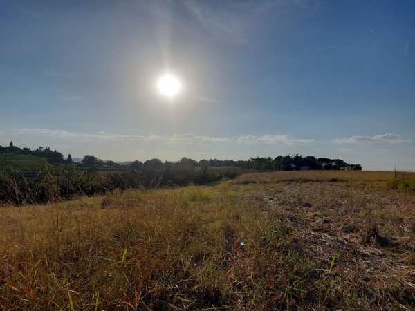 terreno agricolo in vendita a Castel Bolognese