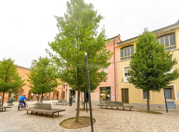 appartamento in vendita a Castel Bolognese