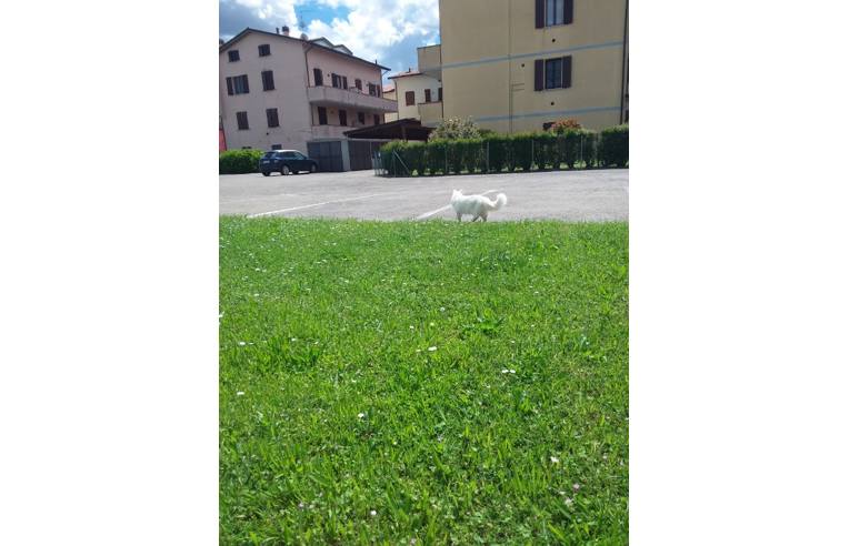 appartamento in vendita a Castel Bolognese