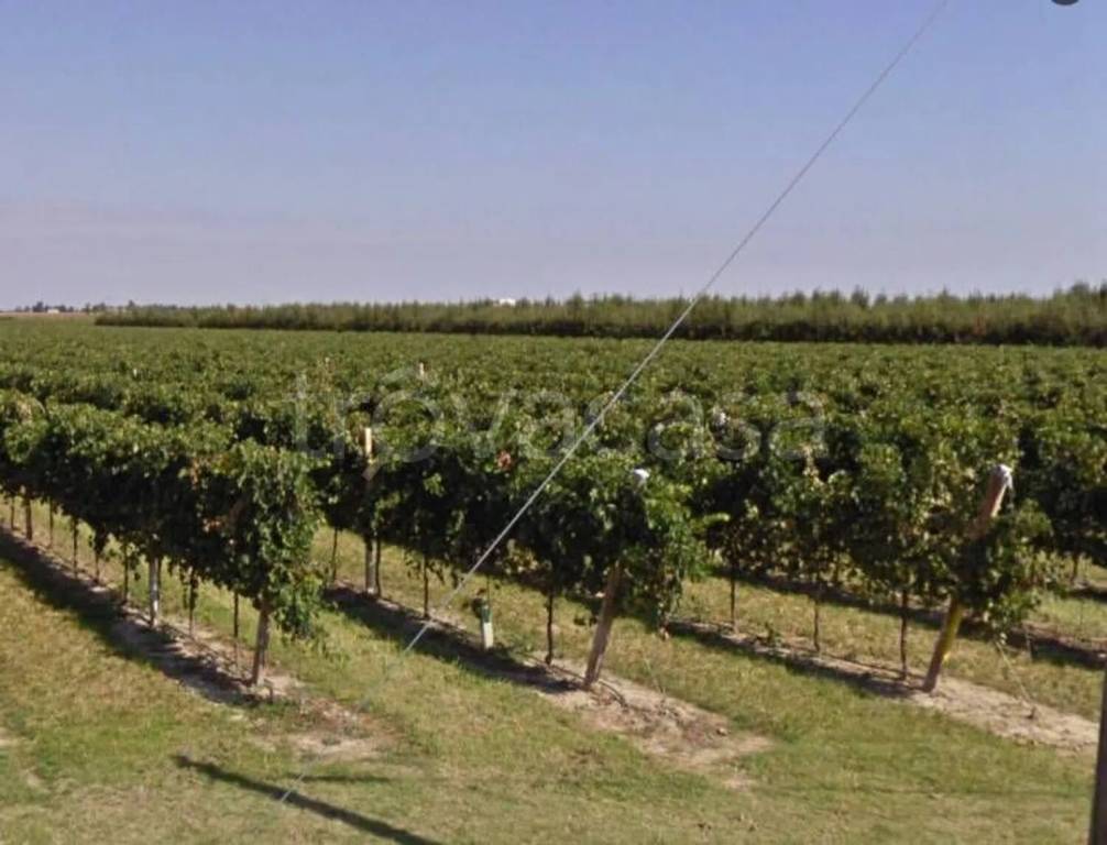 terreno agricolo in vendita a Castel Bolognese