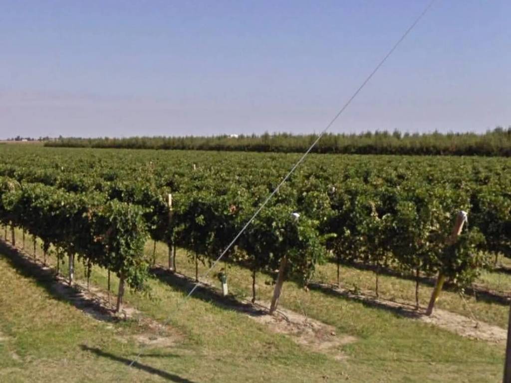 terreno agricolo in vendita a Castel Bolognese