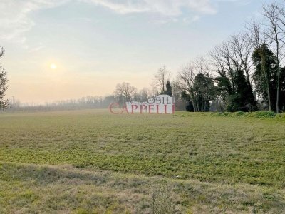 terreno agricolo in vendita a Cervia in zona Milano Marittima