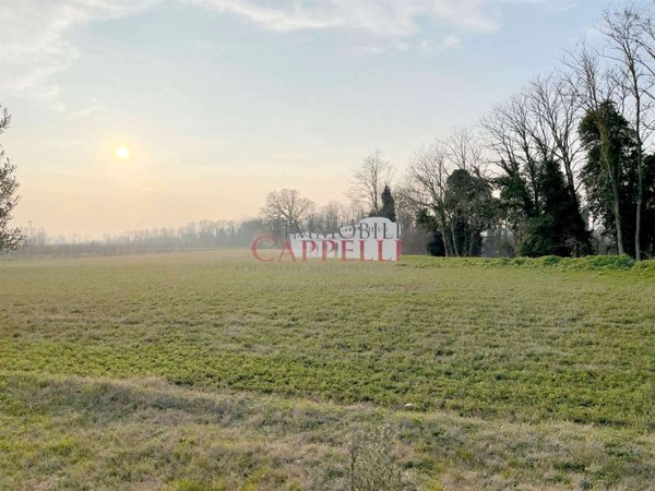 terreno agricolo in vendita a Cervia in zona Cannuzzo