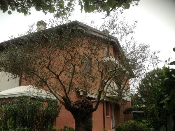 appartamento in vendita a Cervia in zona Milano Marittima