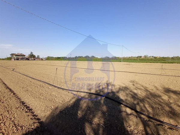 appartamento in vendita a Cervia in zona Montaletto