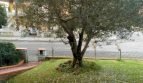 casa indipendente in vendita a Cervia in zona Milano Marittima