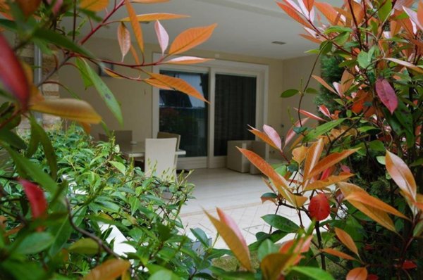 casa indipendente in vendita a Cervia in zona Milano Marittima