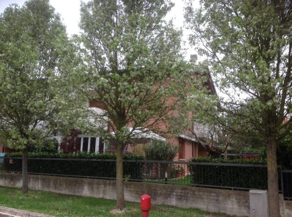 appartamento in vendita a Cervia