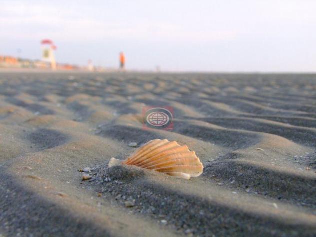 negozio in vendita a Cervia