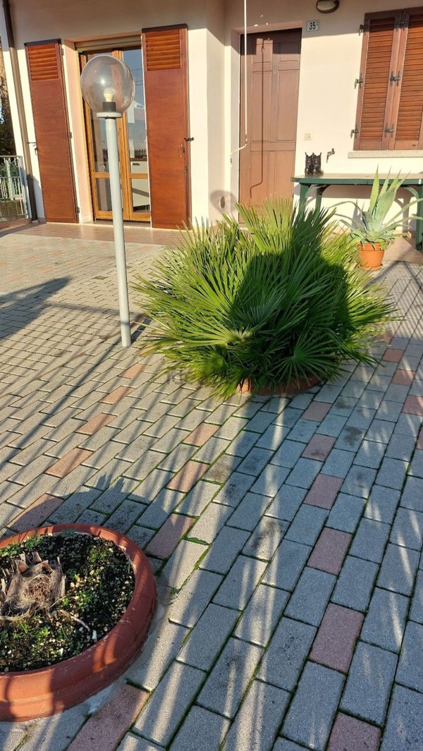 appartamento in vendita a Cervia in zona Pinarella