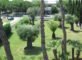 casa indipendente in vendita a Cervia in zona Milano Marittima