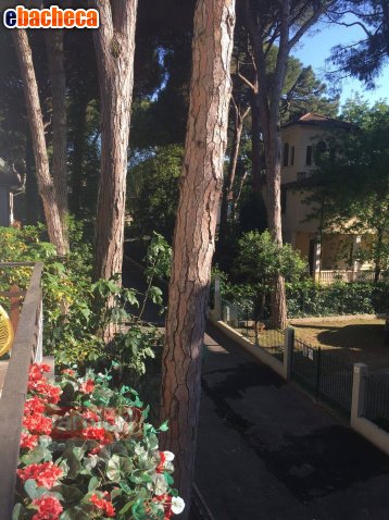 appartamento in vendita a Cervia in zona Milano Marittima