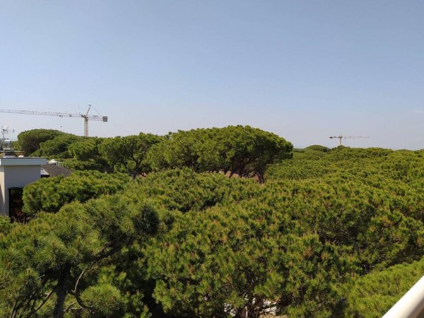 appartamento in vendita a Cervia in zona Milano Marittima