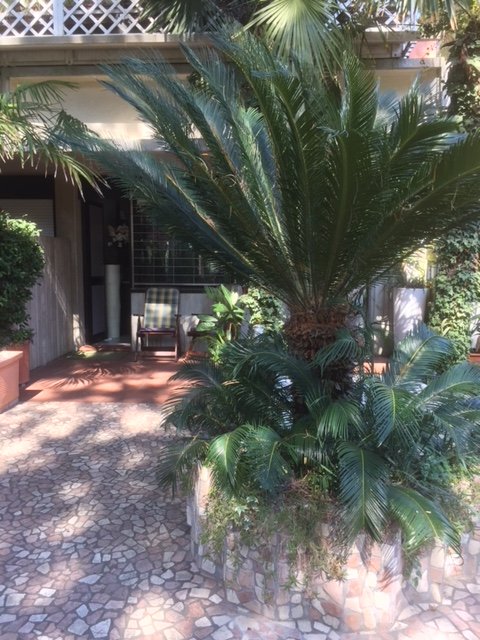 appartamento in vendita a Cervia in zona Milano Marittima