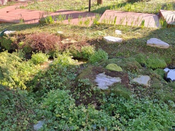 appartamento in vendita a Cervia in zona Terme