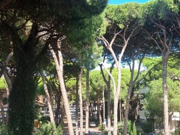appartamento in vendita a Cervia in zona Milano Marittima