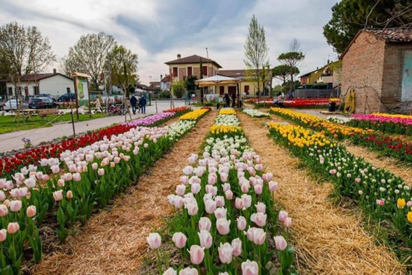 terreno edificabile in vendita a Cervia in zona Villa Inferno