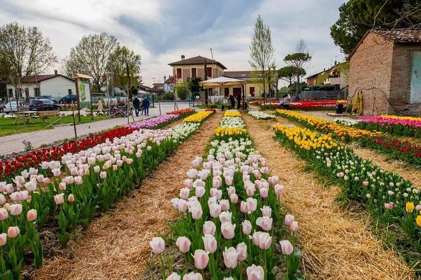 terreno edificabile in vendita a Cervia