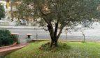 casa indipendente in vendita a Cervia in zona Milano Marittima