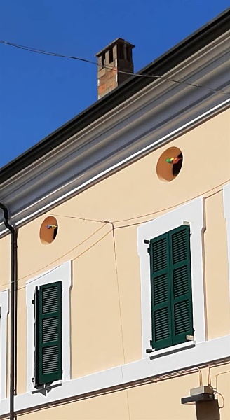 appartamento in vendita a Cervia