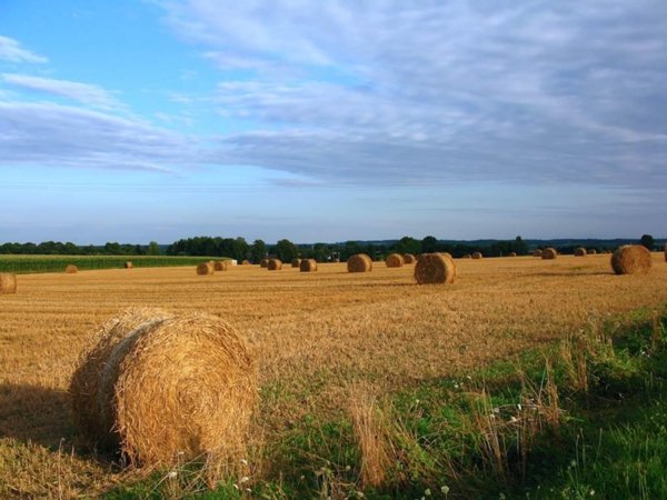 casa indipendente in vendita a Cervia in zona Castiglione di Cervia