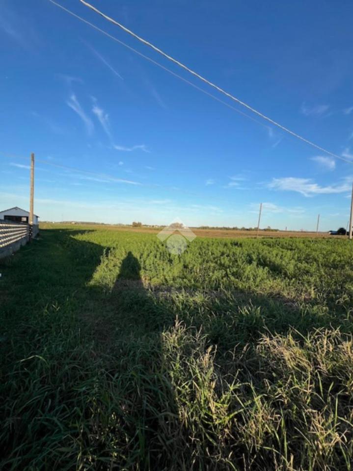 terreno agricolo in vendita a Cervia in zona Montaletto