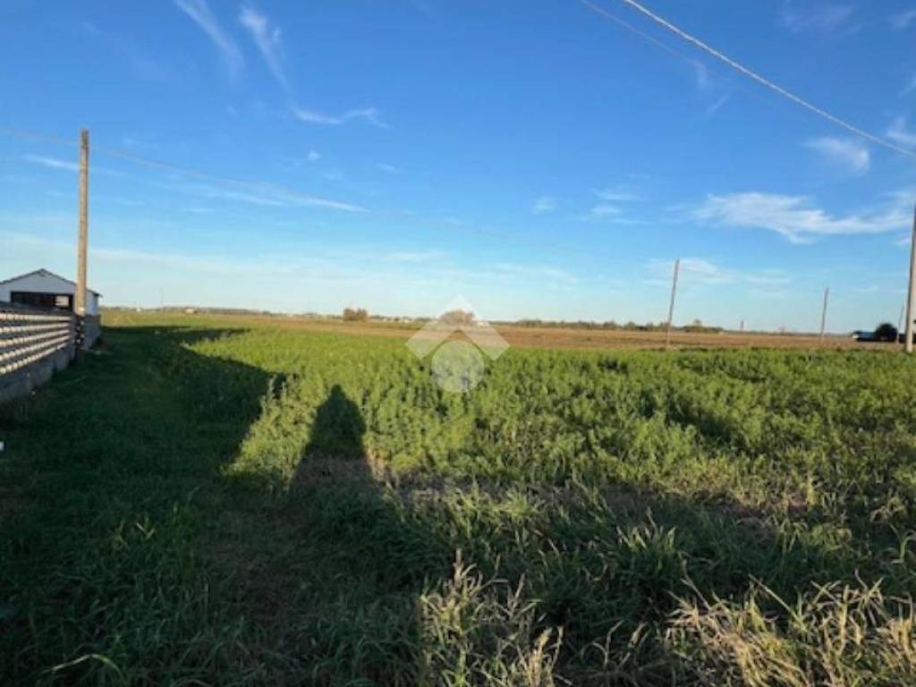 terreno agricolo in vendita a Cervia in zona Montaletto