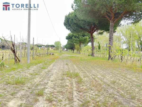 negozio in vendita a Cervia