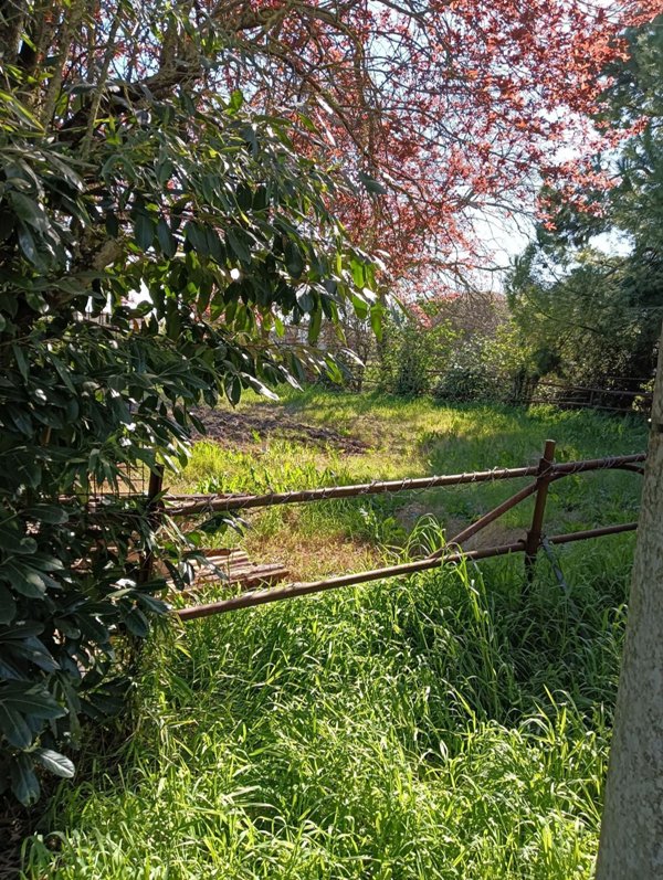 casa indipendente in vendita a Cervia