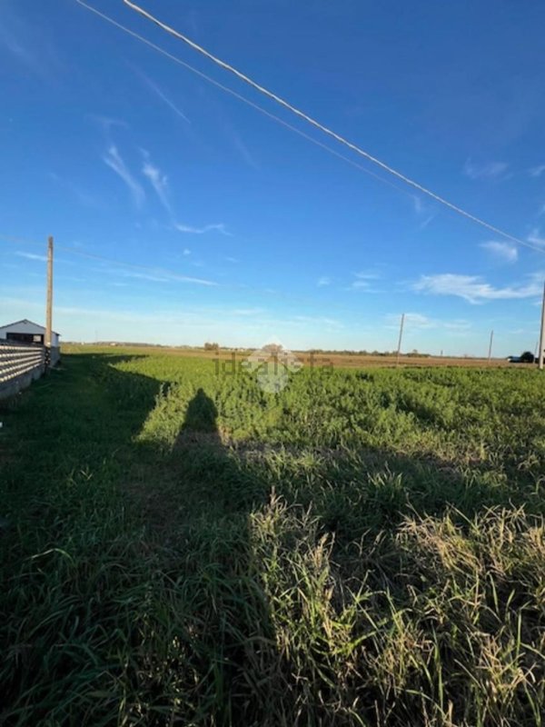 terreno agricolo in vendita a Cervia in zona Montaletto