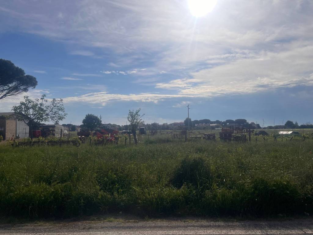 terreno agricolo in vendita a Cervia in zona Pisignano