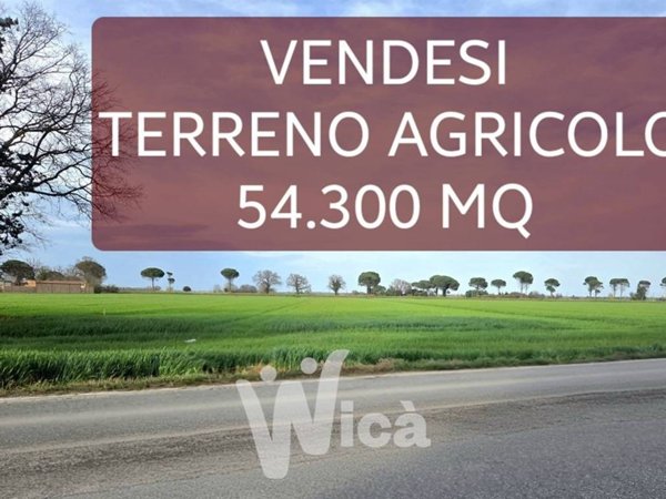 terreno agricolo in vendita a Cervia in zona Villa Inferno