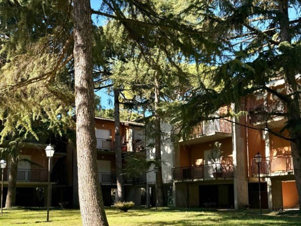 appartamento in vendita a Cervia in zona Milano Marittima