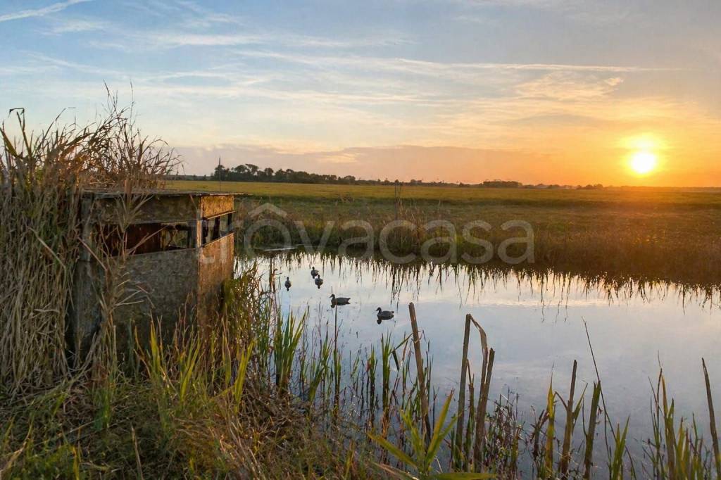 terreno agricolo in vendita a Cervia in zona Montaletto